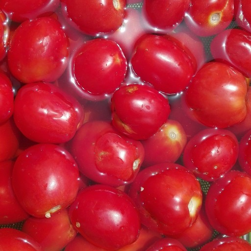 پودر گوجه فرنگی 100گرمی تیموس