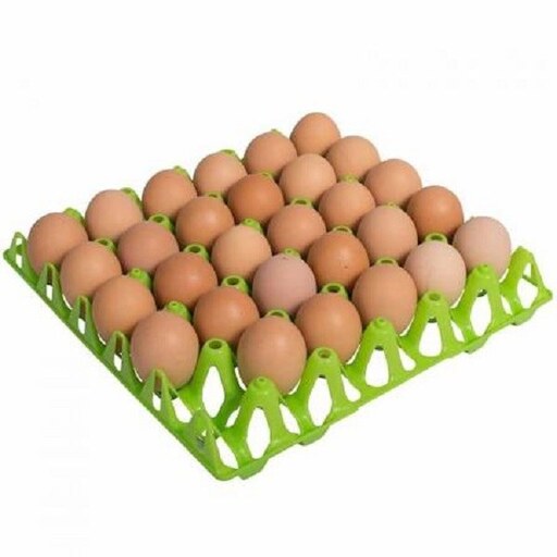 شانه پلاستیکی حمل تخم مرغ 30 تایی جوجه کشی