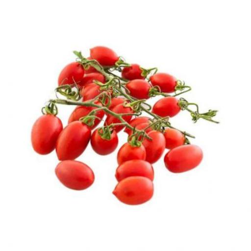 بذر گوجه چری زیتونی قرمز 20 عددی 