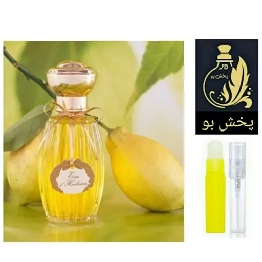 تخفیف ویژه.عطر لیمو.گریدH (لیمون).زنانه ومردانه.یک میل (توضیحات محصول درباره این عطرماندگار وباکیفیت حتما مطالعه شود)