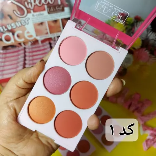 پالت رژگونه 6 رنگ مخملی برند DODO GIRL دودوگرل مدل Blusher