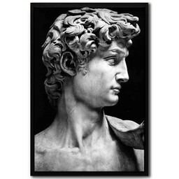 تابلو آتا مدل Michelangelo David Statue کد 248901268