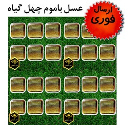 عسل چهل گیاه باموم شفاهیر(24بسته 900 گرمی)(ارسال فوری)(مستقیم از زنبوردار)