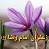 زعفران امام رضا