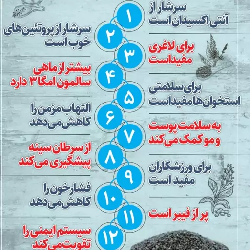 دانه چیا 100 گرمی لوکس