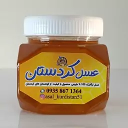 عسل طبیعی گل ختمی(تویلک) طبیعی و ارگانیک (نیم کیلویی)