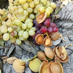 بادام سنگی محصول شهرستان بوانات منطقه ای کوهستانی و آب و هوای فوق العاده تغذیه کاملا طبیعی  