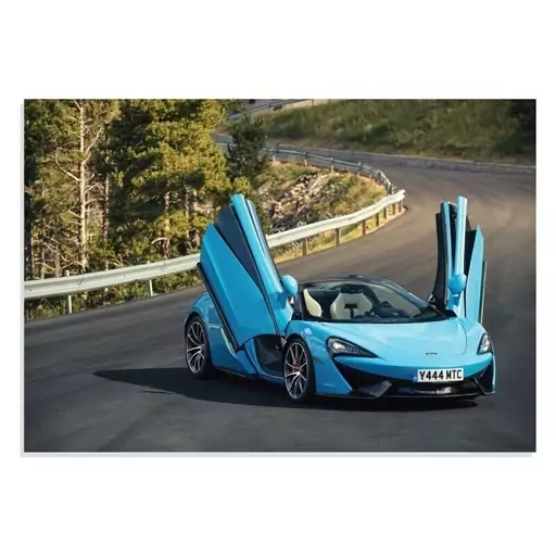 تابلو شاسی طرح ماشین مکلارن - Mclaren 570s 2018 مدل NV0681