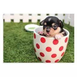 تابلو شاسی طرح حیوانات - فنجان و توله سگ Puppy Dog Cup مدل NV0904