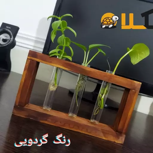 گلدان چوبی شلف چوبی همراه با شیشه ها جا گل روسیتک 