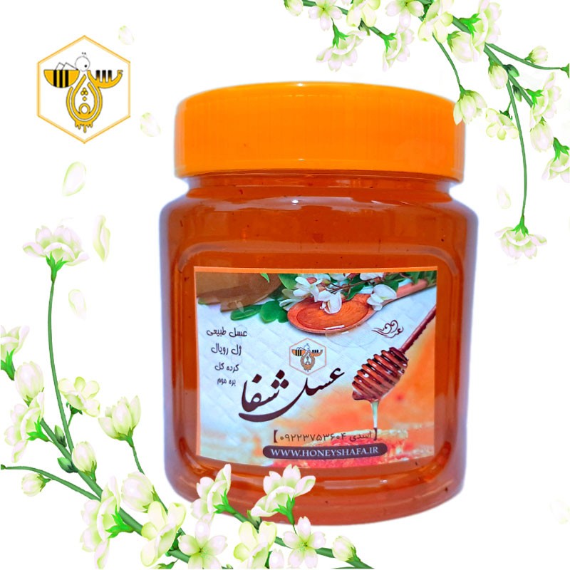 عسل دیابتی و درمانی چند گیاه کوهی نیم کیلویی (100درصد طبیعی با ساکاروز نیم درصد. طبق برگه آزمایش)