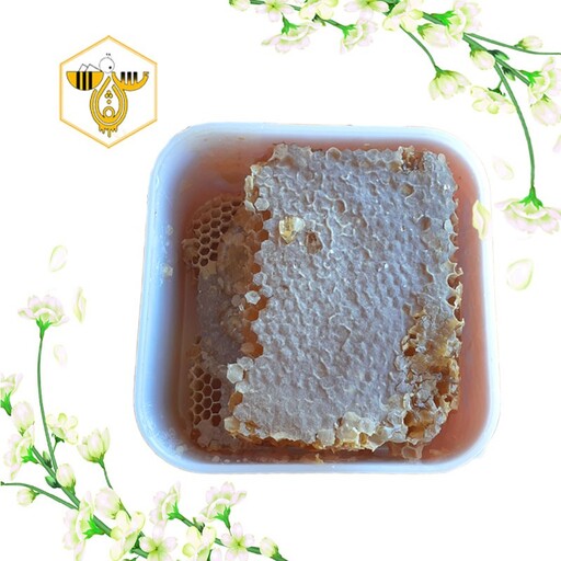 عسل مومدار درمانی دیابتی (100درصد طبیعی - بدون افزودن شهد- با عطر و طعم عالی)