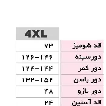 شومیز 2885 کرپ حریر سایز بزرگ ارسال رایگان رنگبندی 