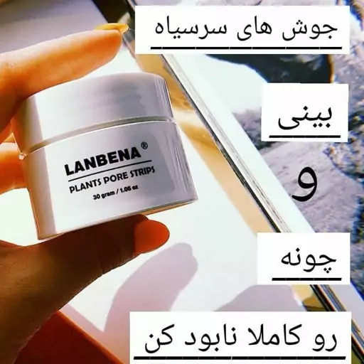 ماسک کاسه ای لانبنا