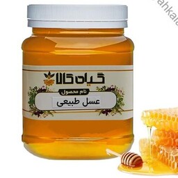 عسل طبیعی 500گرمی