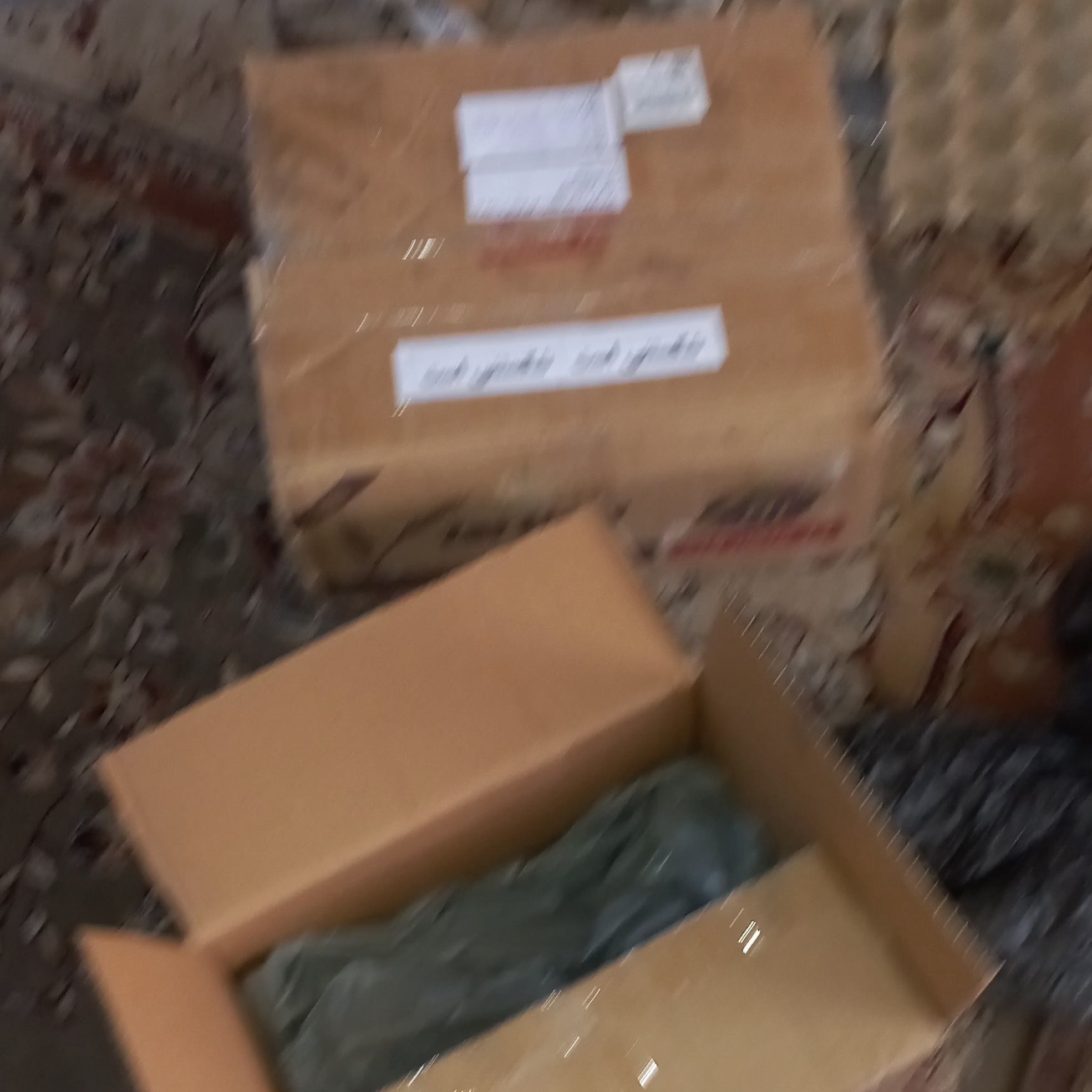 مطالعه شود