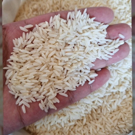 کِشت دو