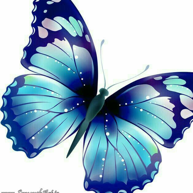 🧚‍♀️ پلاک پروانه 🧚‍♀️