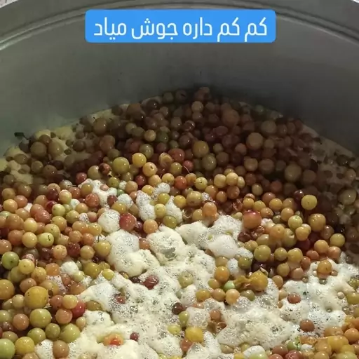 لواشک آلوچه خوش طمع و ترش خوانساری