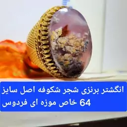 انکشتر برنزی شجر شکوفه سایز 65