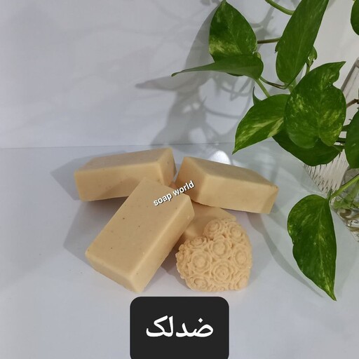 صابون گیاهی و طبیعی ضدلک