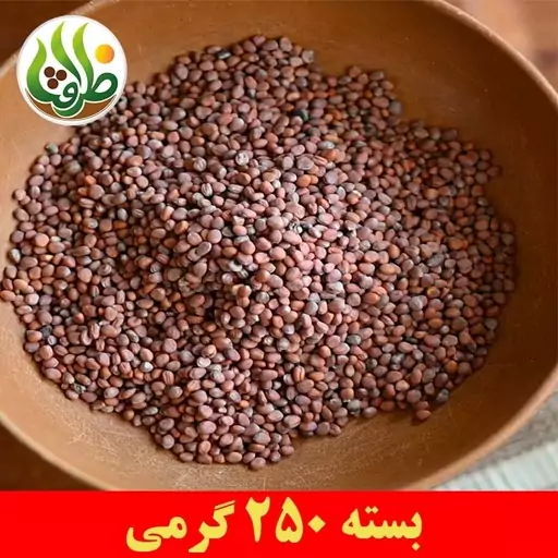 تخم ترب درجه یک ظرافت 250 گرمی