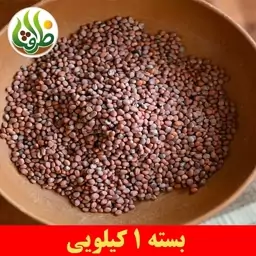 تخم ترب درجه یک ظرافت 1 کیلویی