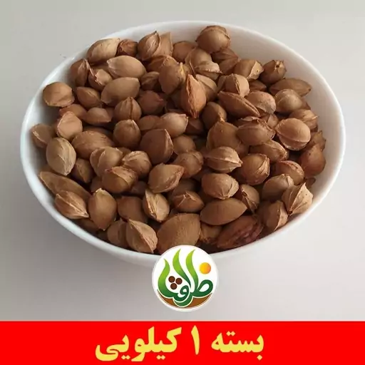 هسته زردآلو شیرین با پوست درجه یک ظرافت 1 کیلویی