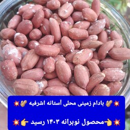 بادام زمینی آستانه اشرفیه محصول 1403 (1000گرمی)