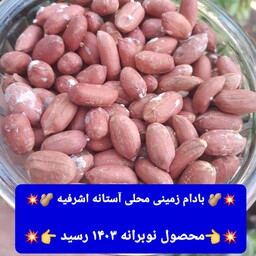 بادام زمینی آستانه اشرفیه محصول 1403 (2000گرمی) نوبرانه 