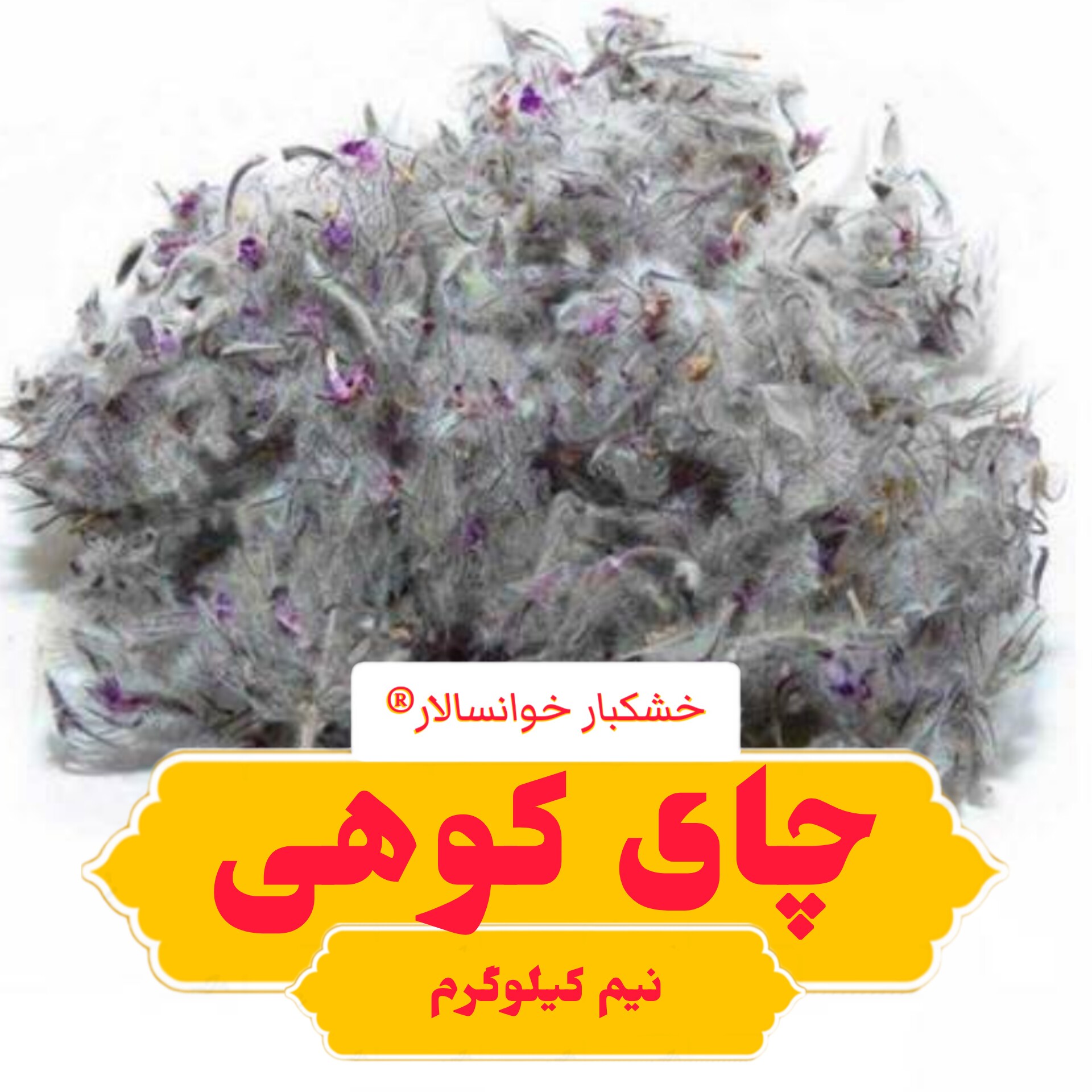 چای کوهی تازه امسالی (نیم کیلوگرم) گل گربه خشکبار خوانسالار