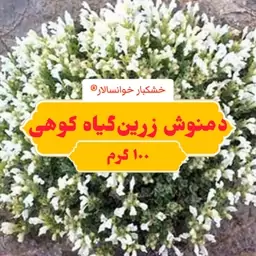 زرین گیاه دمنوش زرنگیا (100گرم) خشکبار خوانسالار