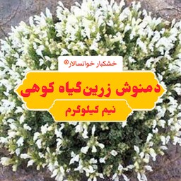 زرین گیاه دمنوش زرنگیا (نیم کیلوگرم) خشکبار خوانسالار