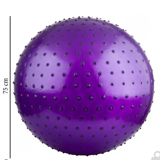توپ بدنسازی سوییسی جیم بال فیزیوبال آجدار گلدن استار 75 سانتیمتری بنفش