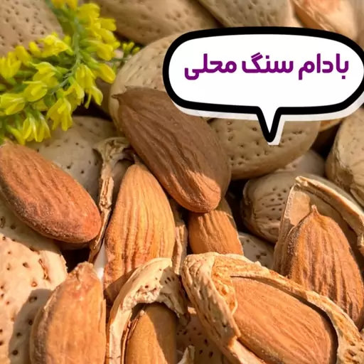 بادام سنگی زرین ایرانی 1000گرمی