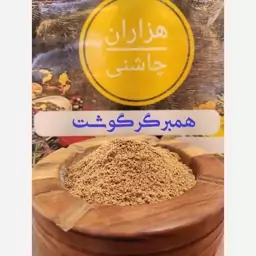 ادویه همبرگر گوشت درجه یک هزاران چاشنی