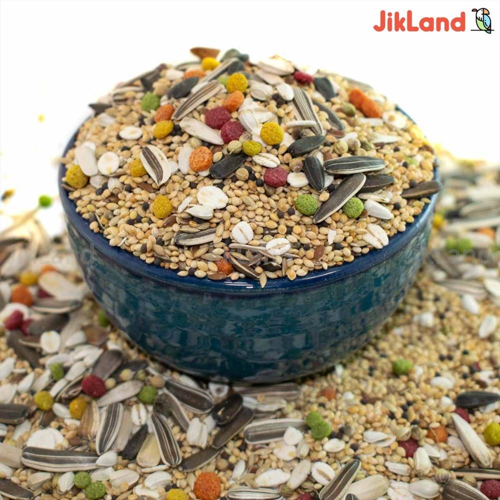  غذای عروس هلندی-کوتوله-مرغ عشق و طوطی سانان(هفت تخم) - بسته 600 گرمی