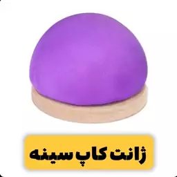 ژانت کاپ سینه ( سوزن خور )