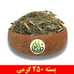 گیاه دم اسب ممتاز ظرافت 250 گرمی