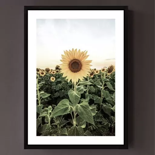 تابلو آتا مدل sunflower کد 248901354