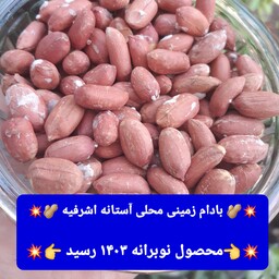 بادام زمینی آستانه اشرفیه محصول 1403 (5000گرمی) 