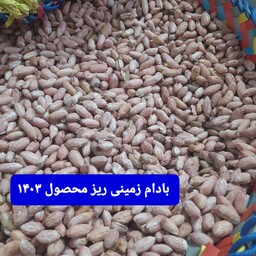 بادام زمینی ریز محصول 1403 (1000 گرمی)