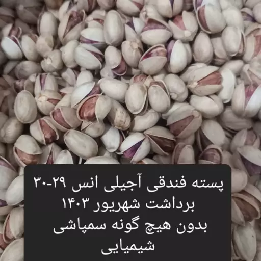 پسته فندقی (اوحدی ) یک Krg