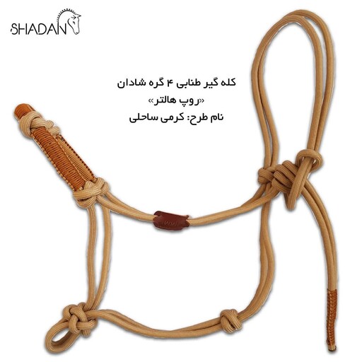 کله گیر اسب شادان کرمی ساحلی