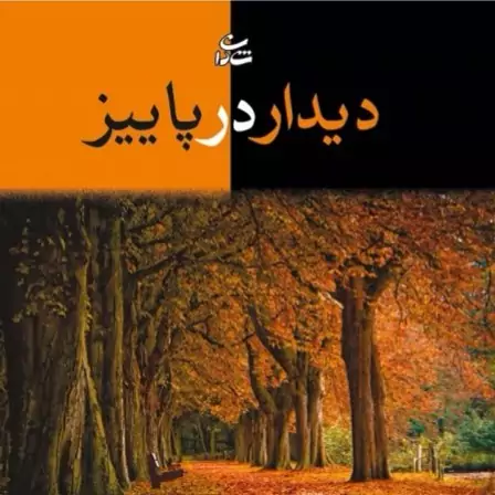 کتاب رمان  دیدار در پاییز اثر لادن نابغ نشر شادان 