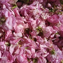 شربت گل محمدی