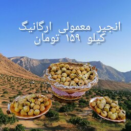 انجیر معمولی ارگانیک هر کیلو 150تومان 