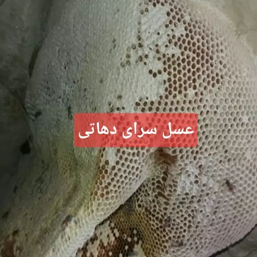 عسل وحشی کوهی کوهستان اصل عسل سرای دهاتی