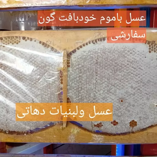 عسل گون گزانگبین مودار 1 کیلویی (ویژه) 