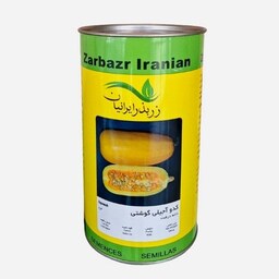 بذر کدو آجیلی دانه ریز مشهدی زر بذر 100 گرمی